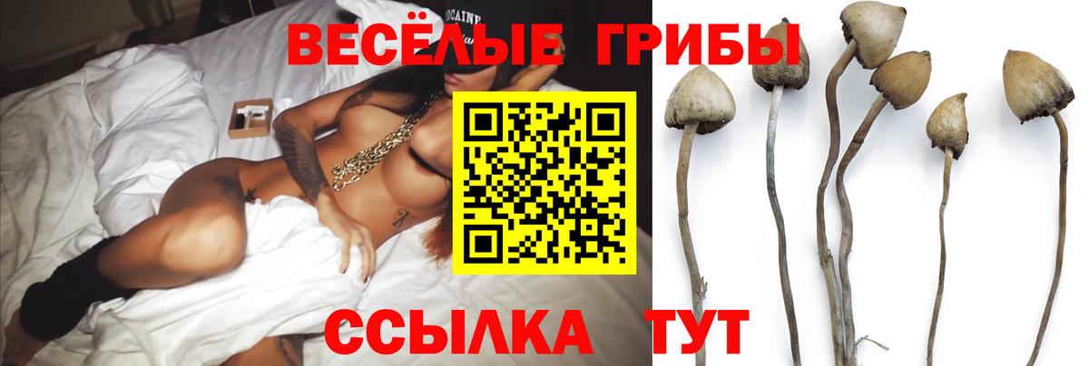 Псилоцибиновые грибы Cubensis  Вход с VPN  Сарапул  Псилоцибиновые грибы прущие грибы 